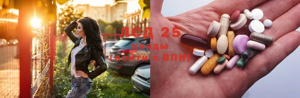 ГАЛЛЮЦИНОГЕННЫЕ ГРИБЫ Алексин
