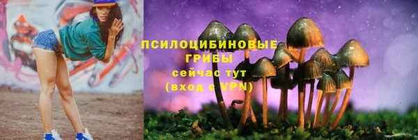 ГАЛЛЮЦИНОГЕННЫЕ ГРИБЫ Алексин
