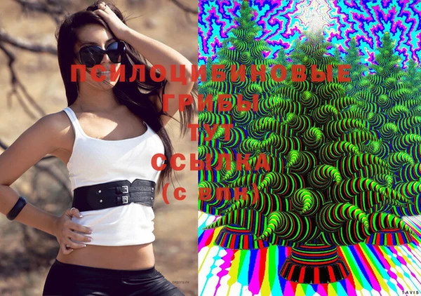ГАЛЛЮЦИНОГЕННЫЕ ГРИБЫ Алексин