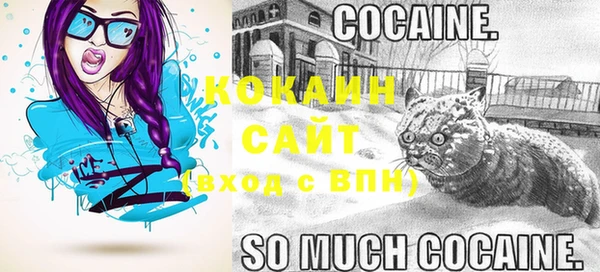 ECSTASY Алзамай