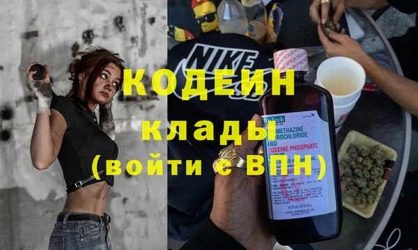 ECSTASY Алзамай