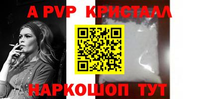 ECSTASY Гатчина