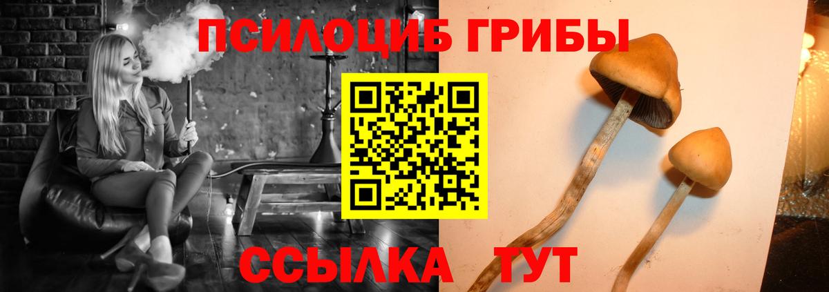 Егорьевск  Галлюциногенные грибы прущие грибы  Вход с VPN 